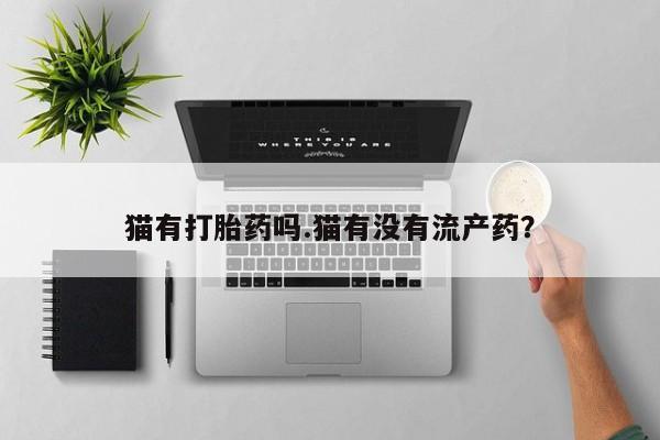 米非司酮片打胎药网店猫有打胎药吗.猫有没有流产药？