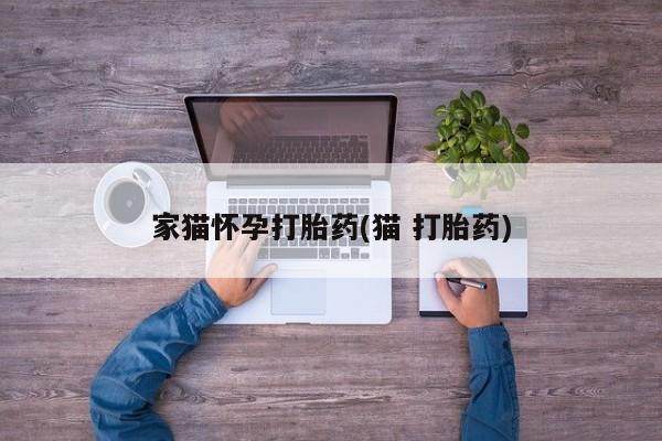 米非司酮片打胎药网店家猫怀孕打胎药(猫 打胎药)